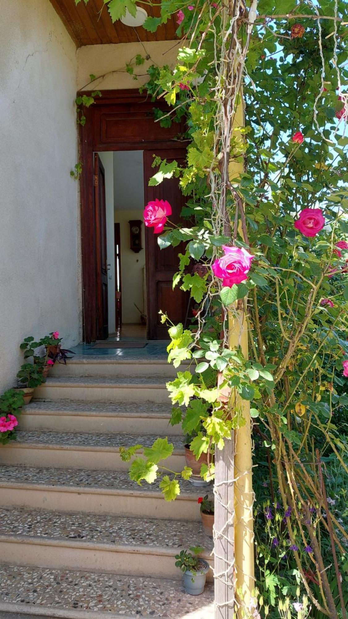 Guesthouse "Door" In シグナギ エクステリア 写真